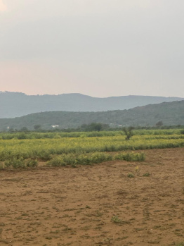 Property for sale in Ferozepur Jhirka, Nuh