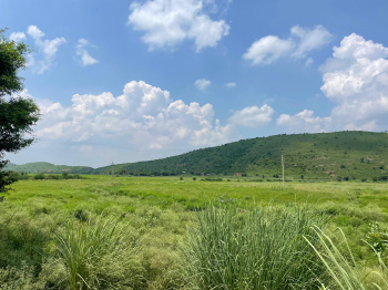 Property for sale in Naugaon, Alwar