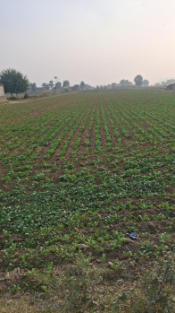 Agricultural/Farm Land for Sale in Sohna, Gurgaon (1 Acre)