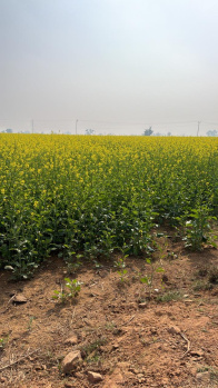 Property for sale in Naugaon, Alwar