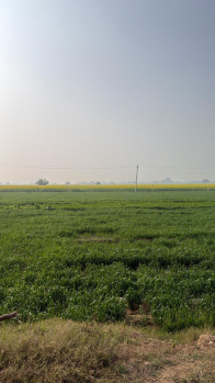 Agricultural/Farm Land for Sale in Sohna, Gurgaon (2200 Sq. Yards)