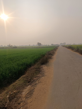 Agricultural/Farm Land for Sale in Sohna, Gurgaon (3 Acre)
