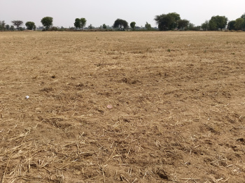 Agricultural/Farm Land for Sale in Sohna, Gurgaon (1 Acre)