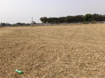 Agricultural/Farm Land for Sale in Sohna, Gurgaon (7 Acre)