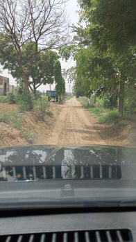 Agricultural/Farm Land for Sale in Sohna, Gurgaon (1 Acre)