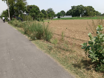 2400 Sq. Yards Agricultural/Farm Land for Sale in Sohna, Gurgaon