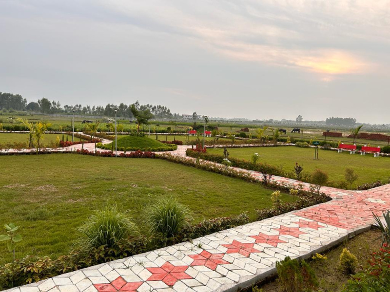 600 Sq.ft. Residential Plot for Sale in Mohanlalganj, Lucknow
