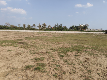 1000 Sq.ft. Residential Plot for Sale in Sultanpur Road, Lucknow