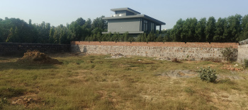 Property for sale in Sirohi, Faridabad