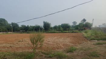 Property for sale in Prithla, Palwal
