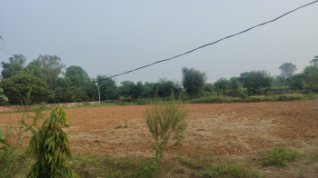 Property for sale in Prithla, Palwal