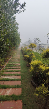 Agricultural/Farm Land for Sale in Sohna, Gurgaon (43560 Sq.ft.)