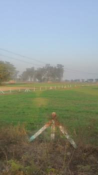 Agricultural/Farm Land for Sale in Ferozepur Jhirka, Nuh (43560 Sq.ft.)