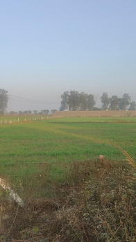 Property for sale in Ferozepur Jhirka, Nuh