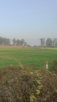 Property for sale in Ferozepur Jhirka, Nuh
