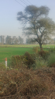 Property for sale in Ferozepur Jhirka, Nuh