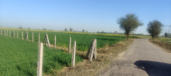 Property for sale in Naugaon, Alwar
