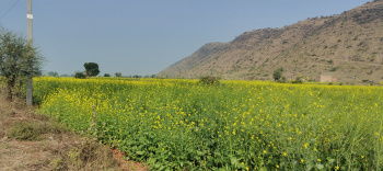 Agricultural/Farm Land for Sale in Naugaon, Alwar (33275 Sq. Yards)