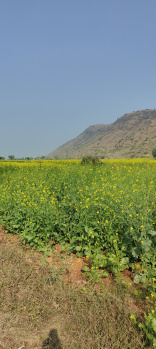 Property for sale in Naugaon, Alwar