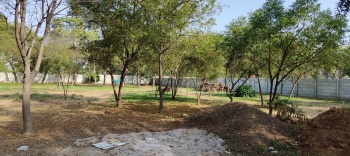 Property for sale in Dhatir, Palwal