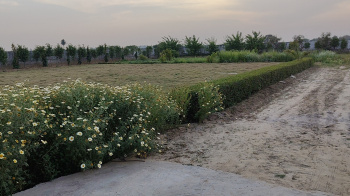 Property for sale in Mandkola, Palwal