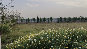 Property for sale in Mandkola, Palwal