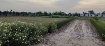 Property for sale in Mandkola, Palwal