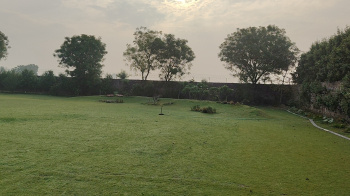 Property for sale in Sirohi, Faridabad
