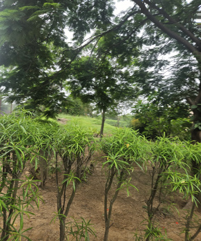 Property for sale in Sohna Road, Faridabad