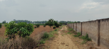 Property for sale in Mandkola, Palwal
