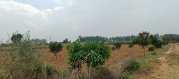Property for sale in Mandkola, Palwal