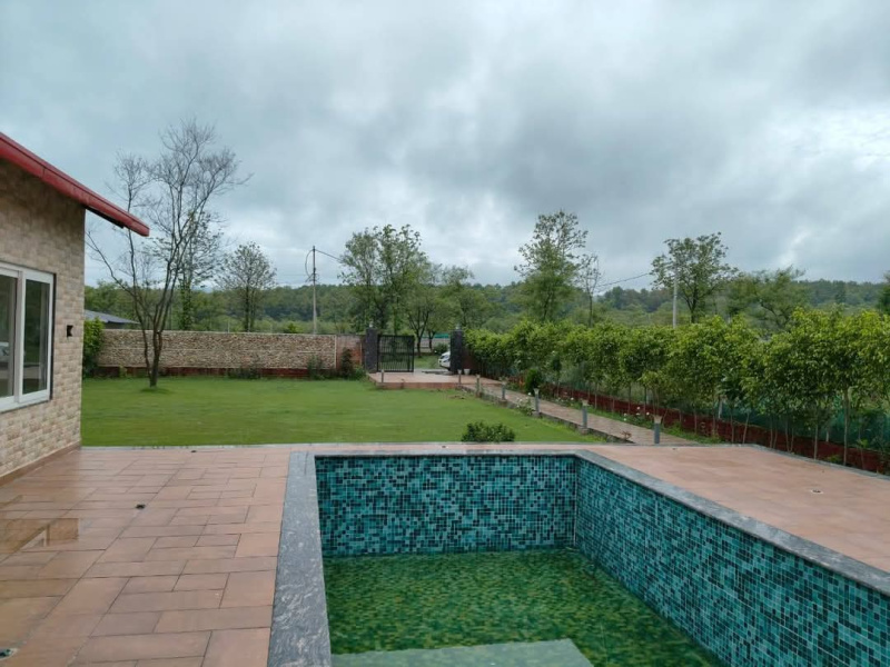 Agricultural/Farm Land for Sale in Pali Road, Faridabad (1 Acre)