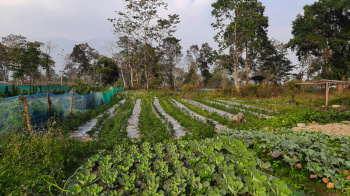 Property for sale in Tijara Road, Alwar