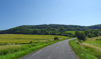 Agricultural/Farm Land for Sale in Tijara, Alwar (15 Bigha)