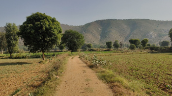 Property for sale in Tijara, Alwar