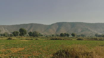 Property for sale in Tijara, Alwar