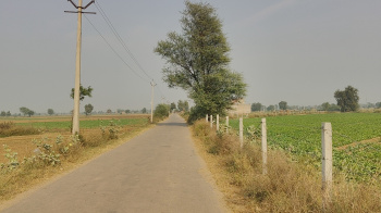 Agricultural/Farm Land for Sale in Dhatir, Palwal (1 Acre)