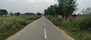 3 Acre Agricultural/Farm Land for Sale in Mandkola, Palwal