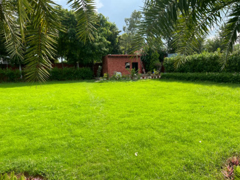 Agricultural/Farm Land for Sale in Sirohi, Faridabad (1 Acre)