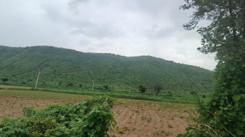 Agricultural/Farm Land for Sale in Tijara, Alwar (7 Bigha)
