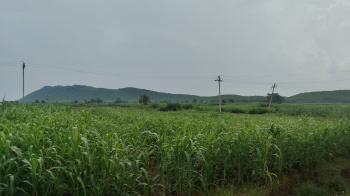 Property for sale in Tijara, Alwar