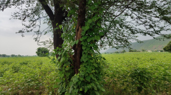 Property for sale in Tijara, Alwar