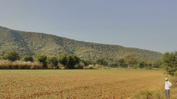 Agricultural/Farm Land for Sale in Naugaon, Alwar (5 Bigha)