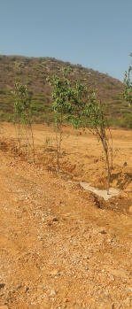 Property for sale in Paota, Alwar