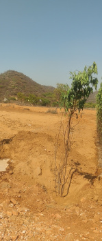 Property for sale in Paota, Alwar