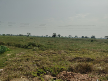 Property for sale in Hathin, Palwal