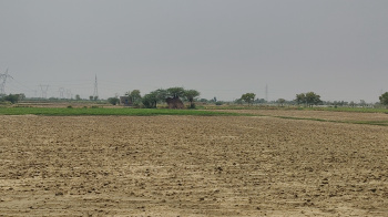Property for sale in Ferozepur Jhirka, Nuh