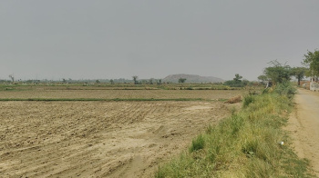 Property for sale in Ferozepur Jhirka, Nuh