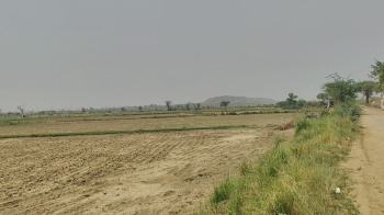 Agricultural/Farm Land for Sale in Ferozepur Jhirka, Nuh (43560 Sq.ft.)