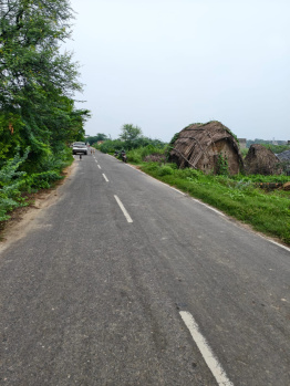 Agricultural/Farm Land for Sale in Ujina, Nuh (12 Acre)